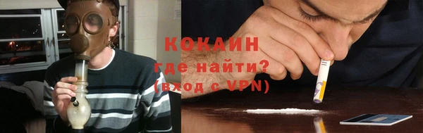 кокс Алексин