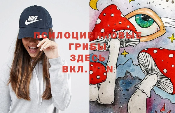 прущая мука Алзамай