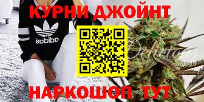 гидра Кудымкар