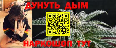 сатива Будённовск