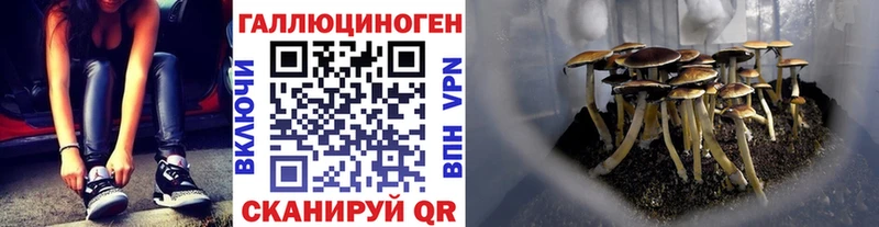 Псилоцибиновые грибы Magic Shrooms как найти наркотики Ейск