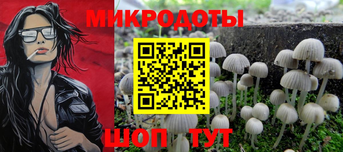 Галлюциногенные грибы GOLDEN TEACHER Ейск
